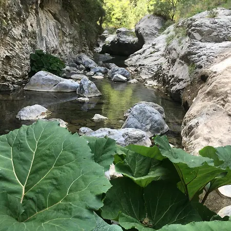 Bel Lumineux Joyeux Spacieux, Vue