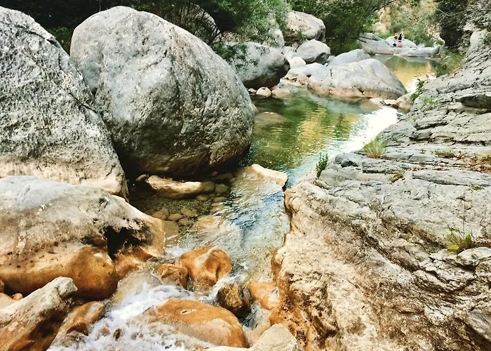 Bel Lumineux Joyeux Spacieux, Vue