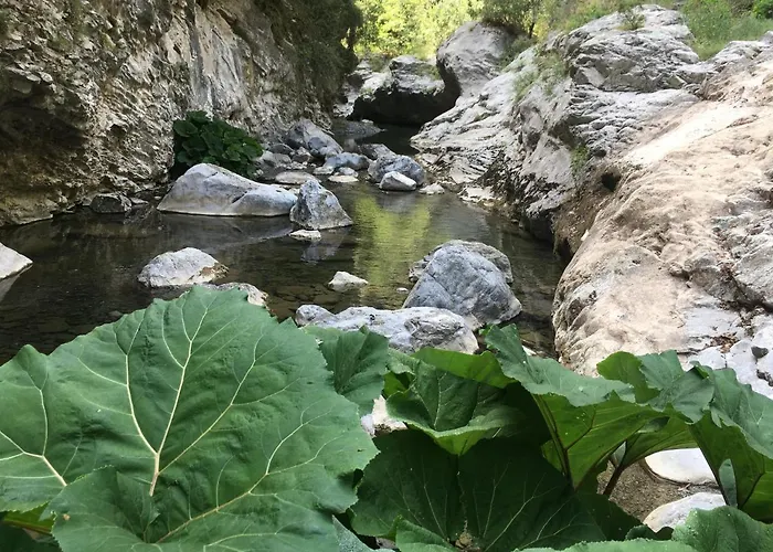 Bel Lumineux Joyeux Spacieux, Vue